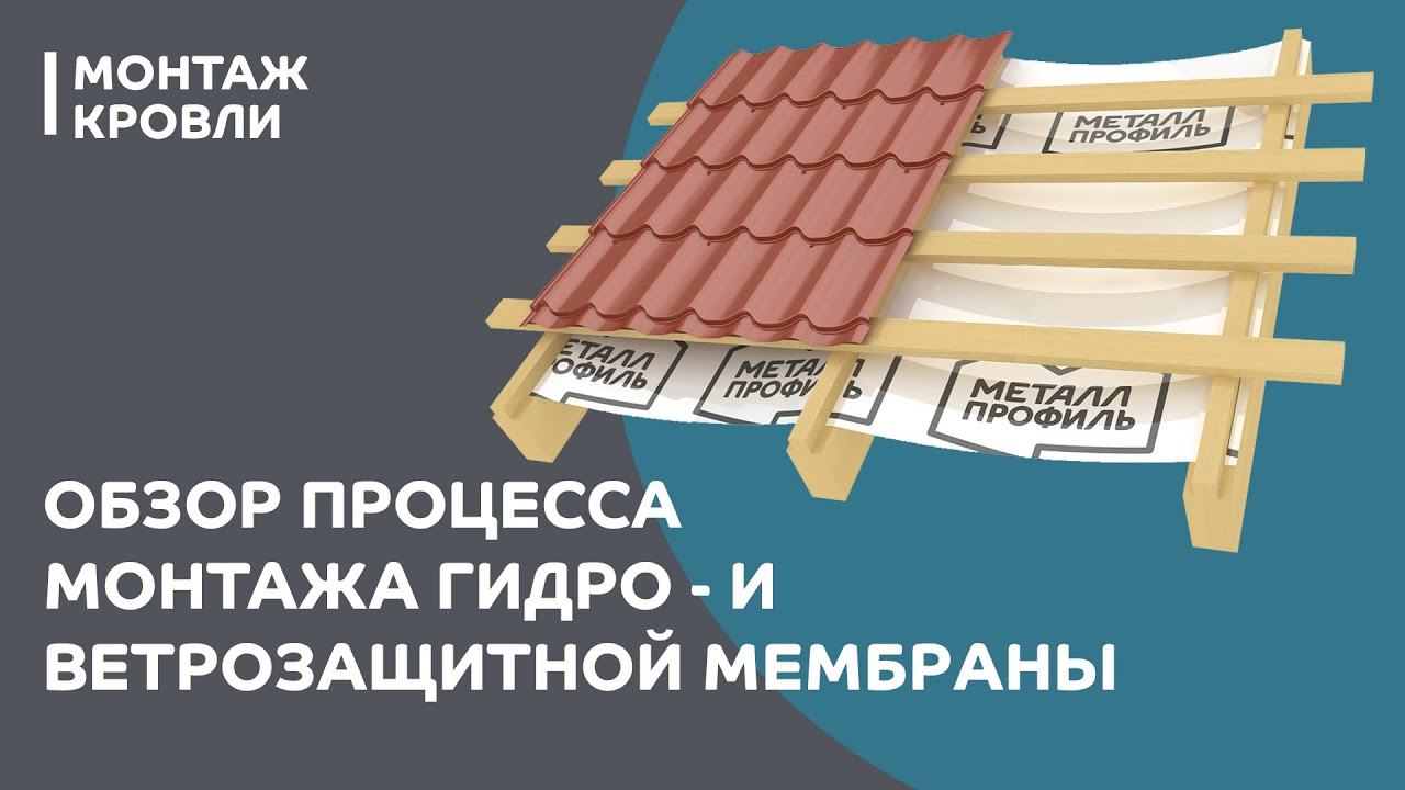 Модератор на кракене
